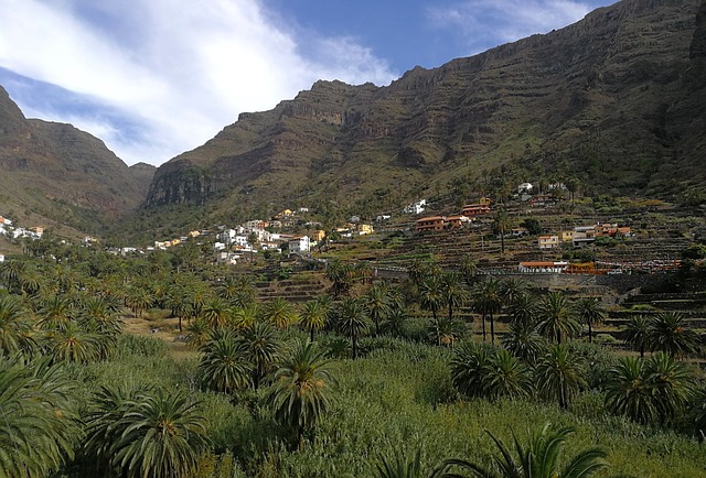 Gomera vallée